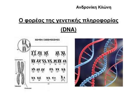 Ο φορέας της γενετικής πληροφορίας (DNA)